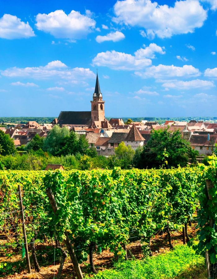 alsace-region-of-france-famous-wine-region-scenic-villages-with-vineyards.jpg