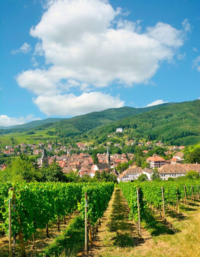 famous-wine-village-of-ribeauville-in-alsace-france2-scaled.jpg