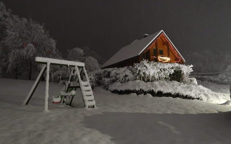 les-genets-1-sous-la-neige--scaled.jpg