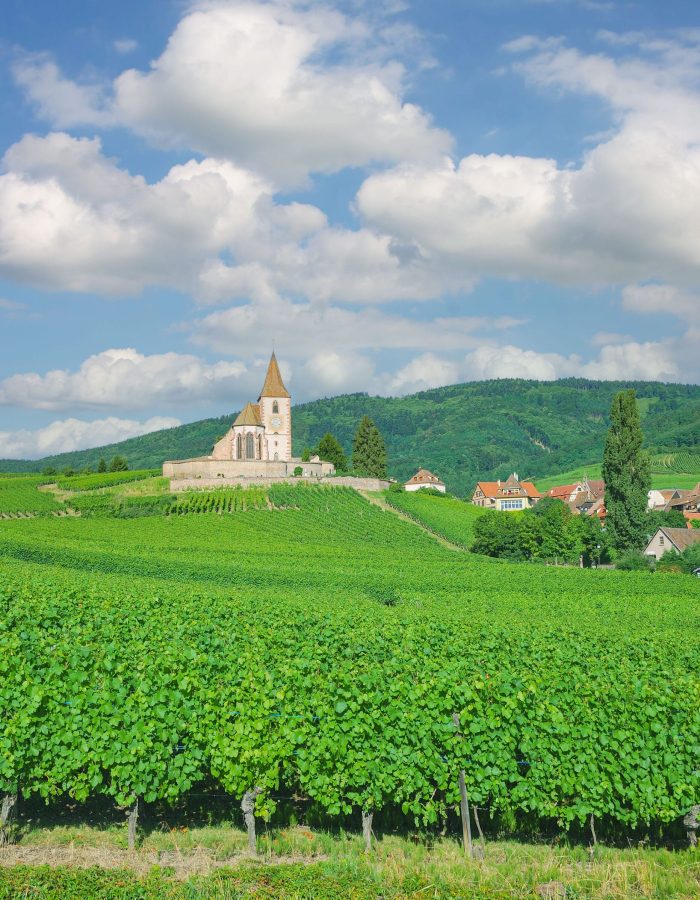 wine-village-of-hunawihr-grand-est-region-former-alsace-france-scaled.jpg
